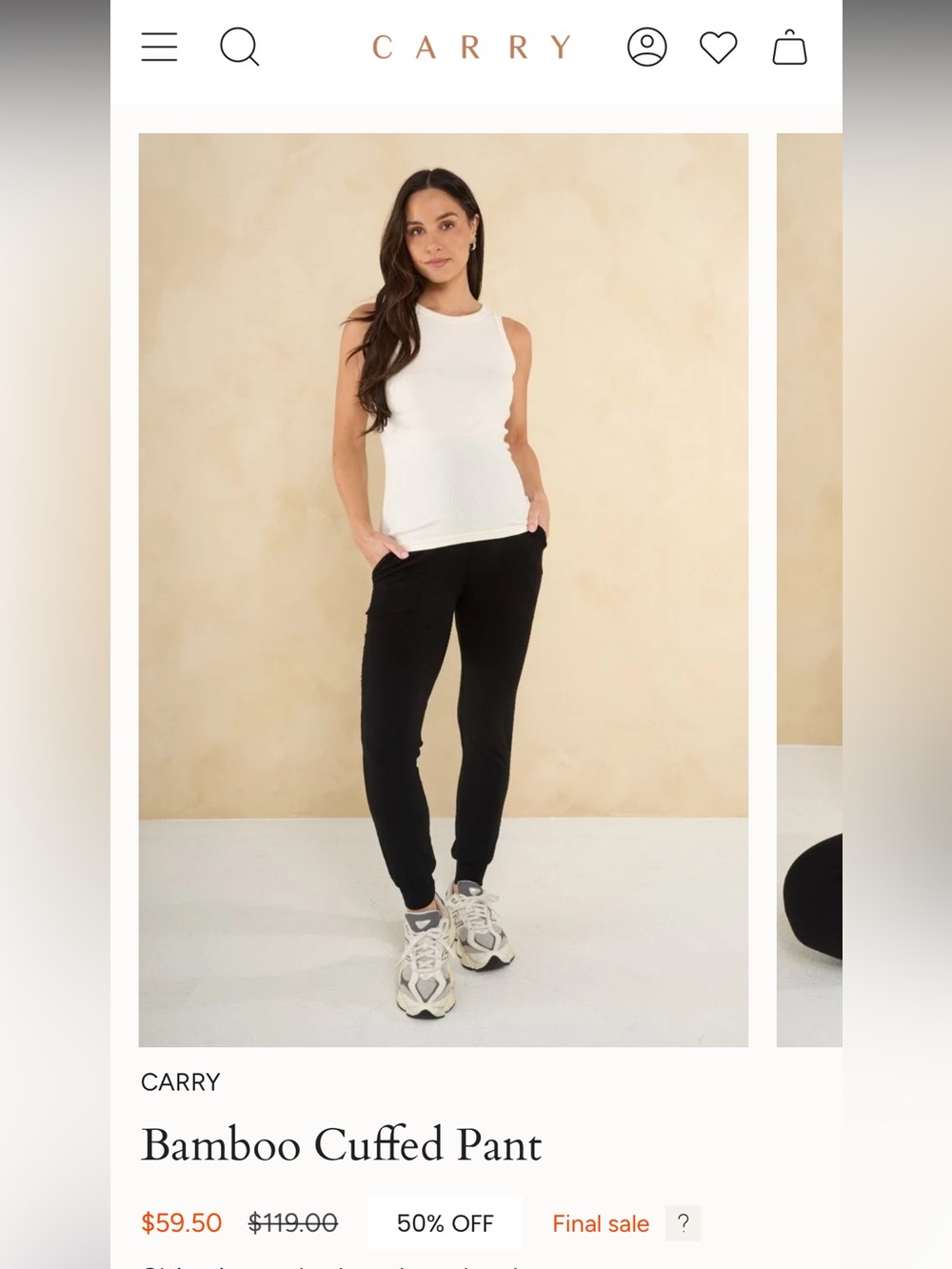 BNWOT Maternity Bamboo Pants